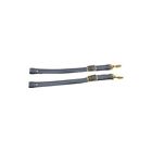 16-55138-1 Model Ford Top To Windshield Straps Black Leather Brass Buckles