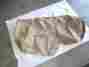 243-870 Moss Mgtd Tonneau Cover