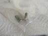 60519562 Alfa Romeo Spider Hard Top Bracket Screw Set