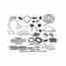 66-69038-1 Eckler S Thunderbird Complete Weather-strip Kit Hardtop 1960