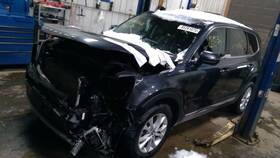 Kia 152-10130c Roof Sunroof Without Rails Fits 20-24 Telluride 10317722