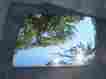 M-1131 Nn-7 General Motors Corvette T Top Glass R.h 1978 1979 1980 1981 1982