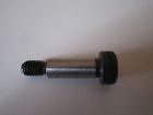 10048835 Unbranded Corvette Top Replacement Main Pivot Screw