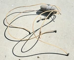 Convertible Power Top Motor Pump Original Chevy Impala Catalina Cadillac 63 64. Fixed Price $60.00.