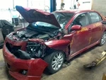 Seat Belt Front Bucket Passenger Buckle Fits 09-13 Corolla 10233117. Fixed Price $71.59.