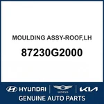 2017-2022 Hyundai Ioniq Moulding Assembly-roof Oem New 87230G2000. Fixed Price $486.42.