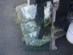 1967 442 Gto Gs Hardtop Convertible Passenger Side Front Window Frame Rh Gm Oem. Fixed Price $54.00.