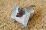 Oem Gm 1956-62 Corvette Power Convertible Top Trunk Lid Safety Switch Prong. Fixed Price $199.99.