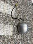 Ford Mustang Vi 2016 Aerial Gps Antenna HR3T19C175AC5APF MRN1493. Fixed Price $65.00.