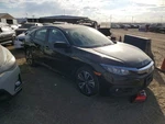Sedan Sunroof With Antenna Fits 16-21 Civic 1620899. Fixed Price $450.00.