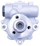 Power Steering Pump-gas Lares 14350. Fixed Price $194.99.