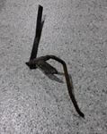 58-62 C1 Corvette Accelerator Swivel Rod & Pivot--original Gm Survivor. Fixed Price $89.95.