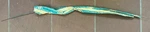 Nos Gm 3797115 Hood Latch Release Cable For 1963-67 Corvette. Fixed Price $139.00.