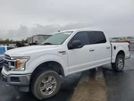 Used Right Curtain Air Bag Fits: 2019 Ford F150 Pickup Front Passenger Roof Crew. Fixed Price $170.00.